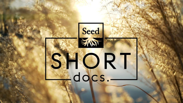 Seed Short Docs 3